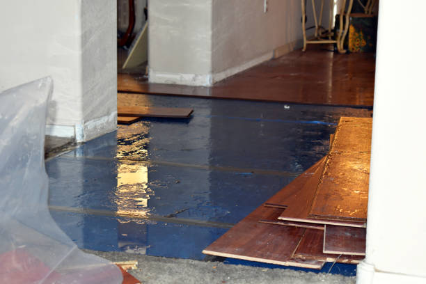 Professional Burst Pipe Cleanup technician working in Glencoe, MN